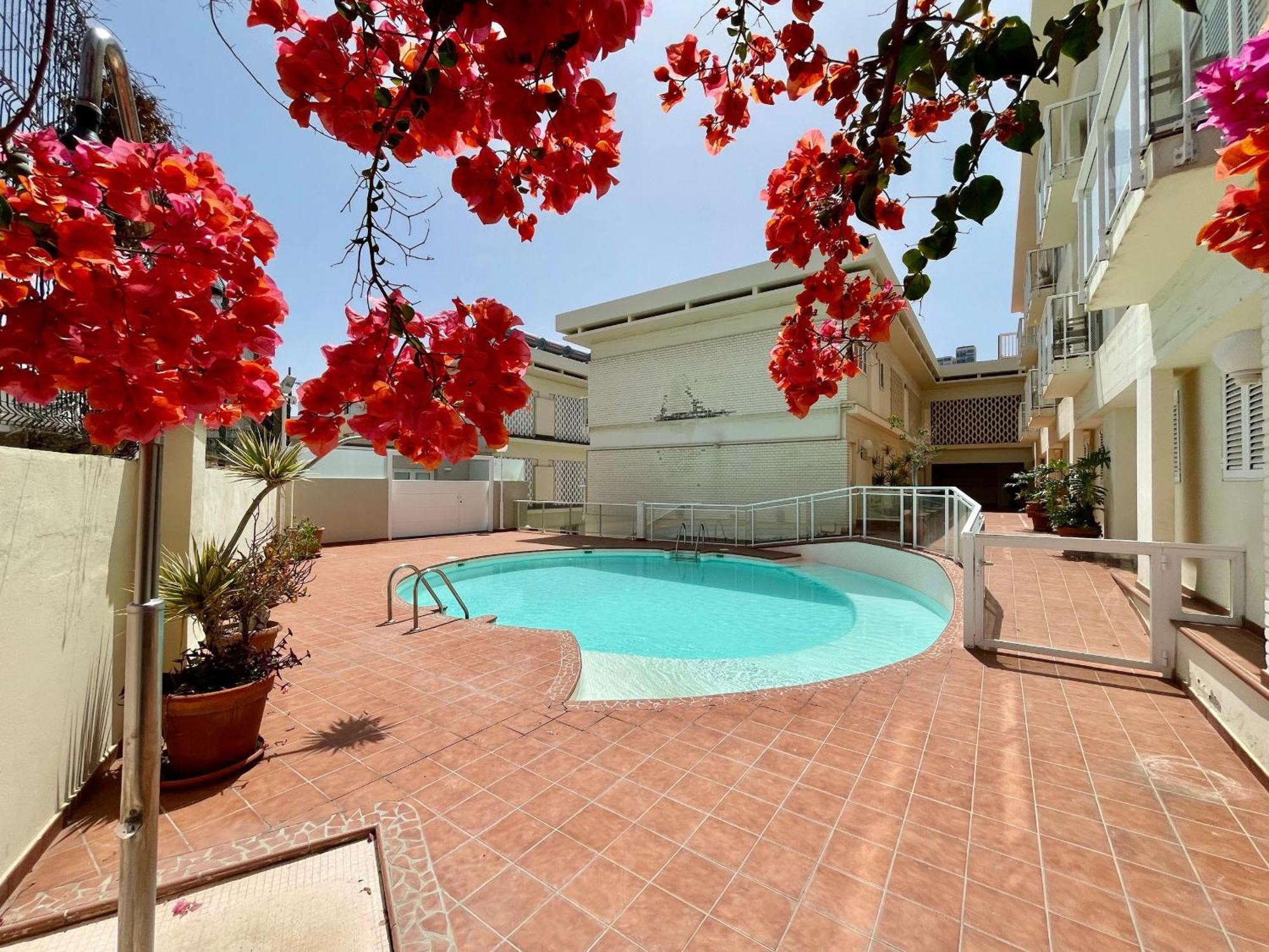 Deluxe Ciudad Jardin - By Gestion Vacacional Canarias ラスパルマス・デ・グランカナリア エクステリア 写真